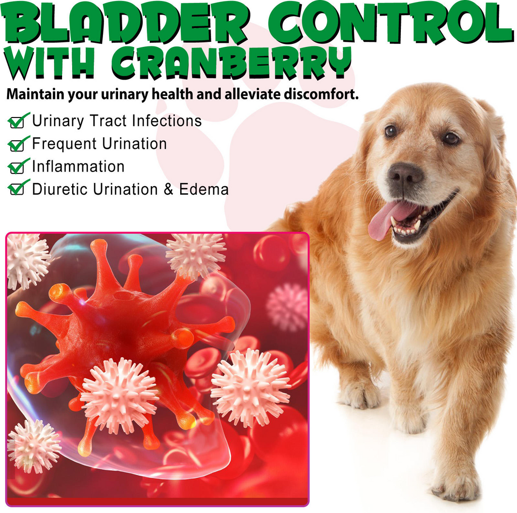 Oimmal® - Urinary Tract Care Drops for Dogs